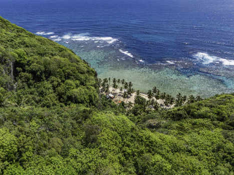 Aerial view of Playa Fronton featuring a secluded beach with palm trees turquoise waters and lush green cliffs in Samana Samana Dominican Republic. Aerial view of Playa Fronton featuring a secluded beach with palm trees turquoise waters and lush green cliffs in Samana Samana Dominican Republic.