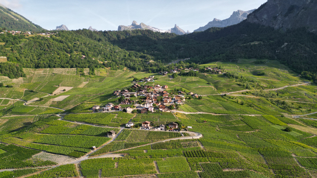 Aerial view of the village of Leytron and the Montagnon mountain surrounded by lush terraced vineyards and alpine peaks Leytron Valais Switzerland. Aerial view of the village of Leytron and the Montagnon mountain surrounded by lush terraced vineyards and alpine peaks Leytron Valais Switzerland.
