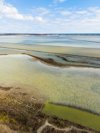 Aerial view of the shallow salt pans of Lake Atanasovsko with textured water and narrow embankments under a blue sky in Burgas Burgas Bulgaria. Aerial view of the shallow salt pans of Lake Atanasovsko with textured water and narrow embankments under a blue sky in Burgas Burgas Bulgaria.