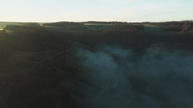 Aerial view of trees and fog France.