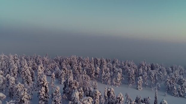 Aerial view of Luosto forest in winter Finland.