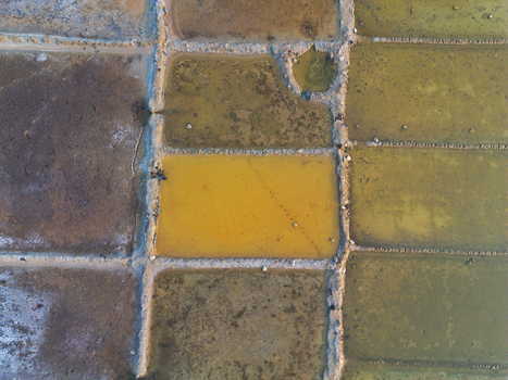 Aerial view of colorful salt evaporation ponds separated by earthen walls in Moheskhali Upazila Chittagong Division Bangladesh. Aerial view of colorful salt evaporation ponds separated by earthen walls in Moheskhali Upazila Chittagong Division Bangladesh.