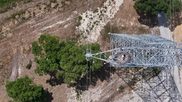 Aerial view of a stork nest on an electricity pylon Portugal.