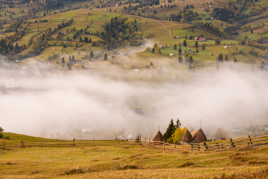 View of traditional haystacks in a misty rural landscape with rolling hills wooden fences and autumn foliage in Alba County Romania. View of traditional haystacks in a misty rural landscape with rolling hills wooden fences and autumn foliage in Alba County Romania.