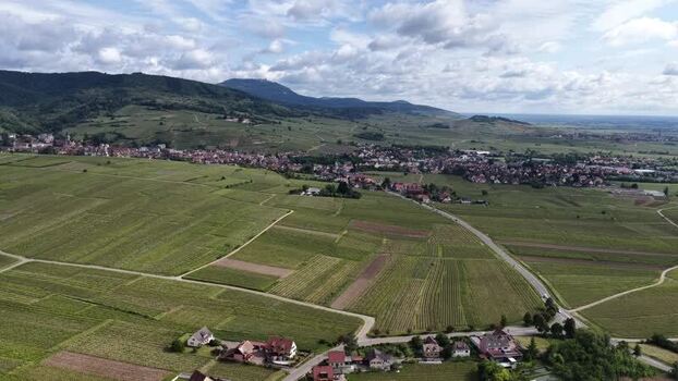 Aerial view of Ribeauville vineyards and hills France. Aerial view of Ribeauville vineyards and hills France.