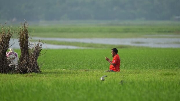 View of a man praying in a lush green field in Bogura Bangladesh.