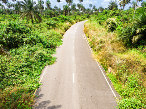 Aerial view of a paved road winding through dense tropical vegetation and palm trees under a bright sky Ahoada I Rivers Nigeria. Aerial view of a paved road winding through dense tropical vegetation and palm trees under a bright sky Ahoada I Rivers Nigeria.