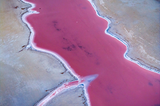 Aerial view of vibrant pink waters contrasting sharply with the pale textured shoreline creating a surreal landscape along the coast. Salt Lake City Utah United States. Aerial view of vibrant pink waters contrasting sharply with the pale textured shoreline creating a surreal landscape along the coast. Salt Lake City Utah United States.