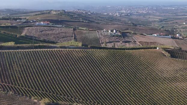 Aerial view of vineyard in rolling hills Portugal. Aerial view of vineyard in rolling hills Portugal.