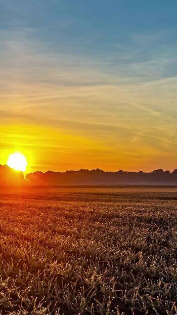 View of sunrise over a field in Latvia. View of sunrise over a field in Latvia.