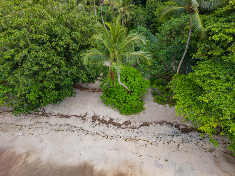 Aerial view of the pristine beach where turquoise waters meet the soft white sand contrasting with the lush green vegetation Montagne Jasmin Mahe Island Seychelles. Aerial view of the pristine beach where turquoise waters meet the soft white sand contrasting with the lush green vegetation Montagne Jasmin Mahe Island Seychelles.