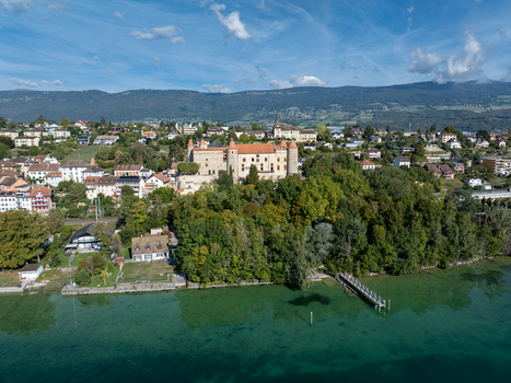 Aerial view of the historic Chateau de Grandson overlooking the lake surrounded by lush trees and residential houses in Grandson Vaud Switzerland.