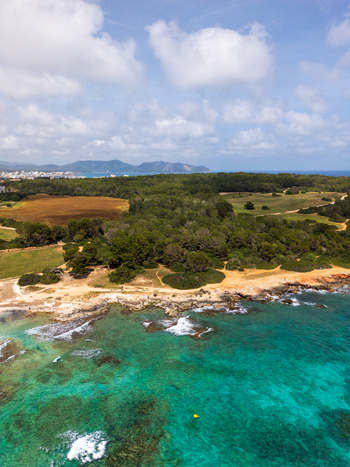 Aerial view of the rocky coastline and turquoise Mediterranean waters bordering a lush green forest in Sa Coma Balearic Islands Spain. Aerial view of the rocky coastline and turquoise Mediterranean waters bordering a lush green forest in Sa Coma Balearic Islands Spain.