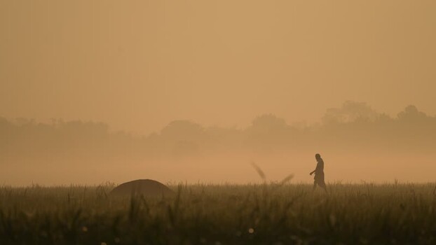View of a man walking through a misty field at sunrise Bangladesh.