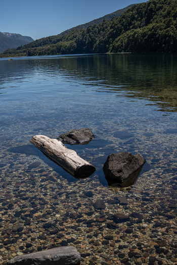 View of Lago Paimun with a floating log and rocks in the clear water surrounded by mountains and forest in Huiliches Department Neuquen Province Argentina.