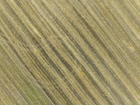 Aerial view of a harvested field with diagonal patterns of stubble and tractor tracks in the rural landscape of Ottenhofen Bayern Germany.
