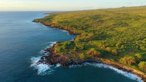 Aerial view of Mahukona Beach Park and the rugged coastline United States.