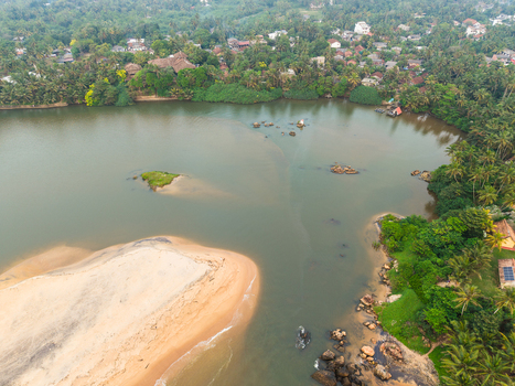 Aerial view of a river mouth meeting a sandy beach surrounded by lush tropical palm trees and coastal vegetation in Galle Southern Province Sri Lanka.