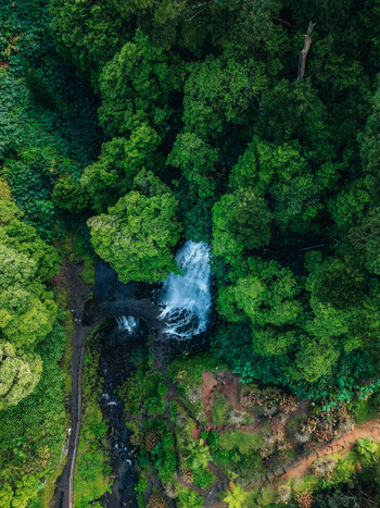 Aerial view of cascading waters plunging into a verdant abyss embraced by emerald foliage a symphony of nature s artistry Achada Açores Portugal. Aerial view of cascading waters plunging into a verdant abyss embraced by emerald foliage a symphony of nature s artistry Achada Açores Portugal.