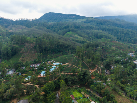 Aerial view of lush tea plantations and small village buildings nestled among forested hills under a cloudy sky in Nallathanniya Central Province Sri Lanka. Aerial view of lush tea plantations and small village buildings nestled among forested hills under a cloudy sky in Nallathanniya Central Province Sri Lanka.