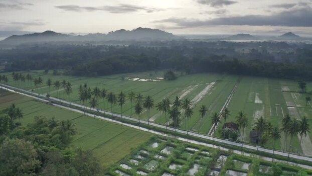 Aerial view of rice fields in Nanggulan Indonesia.