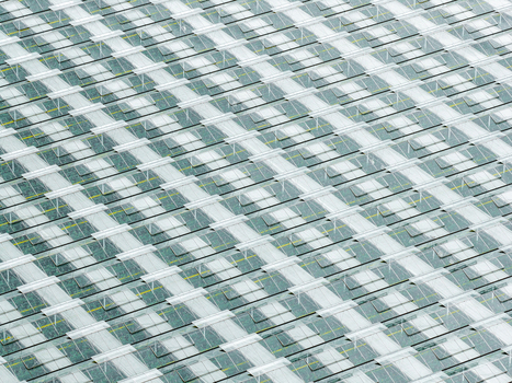 Aerial view of a production scale greenhouse featuring repeating glass panels and metal support structures in Poland.