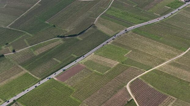 Aerial view of vineyards and a road in Ribeauville France. Aerial view of vineyards and a road in Ribeauville France.