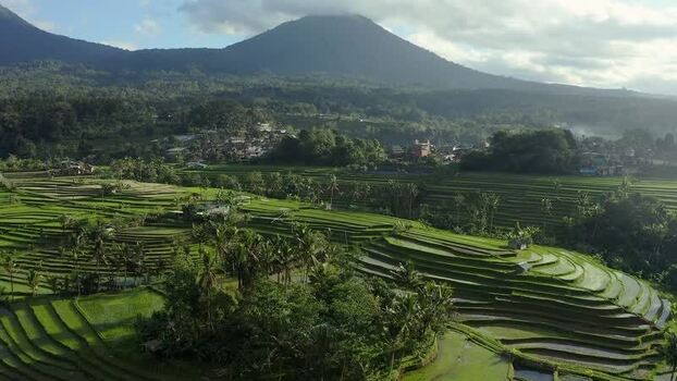 Aerial view of Jatiluwih rice terraces and mountains Indonesia.