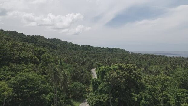 Aerial view of a winding road through lush palm forests Philippines.