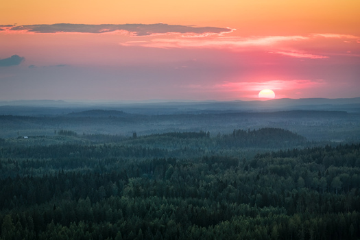Aerial view of the Laaminki forest landscape featuring dense coniferous trees under a vibrant sunset sky in Kangasniemi Etela Savo Finland. Aerial view of the Laaminki forest landscape featuring dense coniferous trees under a vibrant sunset sky in Kangasniemi Etela Savo Finland.