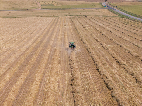 Aerial view of a tractor harvesting wheat in a large agricultural field under a clear sky in Philadelphia Western Cape South Africa. Aerial view of a tractor harvesting wheat in a large agricultural field under a clear sky in Philadelphia Western Cape South Africa.