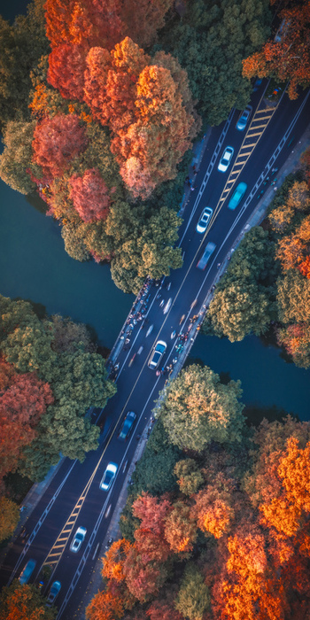 Aerial view of a road crossing West Lake surrounded by vibrant autumn trees with red and orange foliage in Hangzhou Zhejiang China.