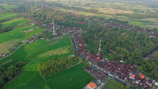 Aerial view of Soka Rice Fields in Selemadeg Indonesia.
