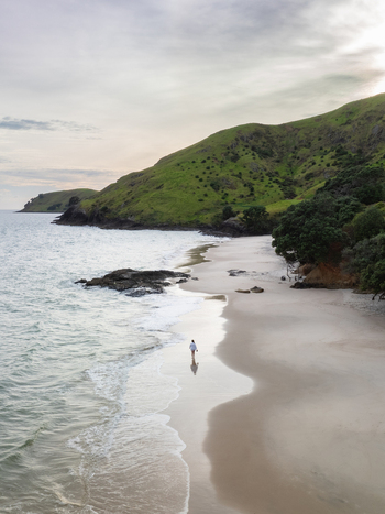 Aerial view of a solitary figure graces the sandy expanse of a Waikato beach where turquoise waters meet emerald hills under a serene sky Waikato Waikato Region New Zealand. Aerial view of a solitary figure graces the sandy expanse of a Waikato beach where turquoise waters meet emerald hills under a serene sky Waikato Waikato Region New Zealand.