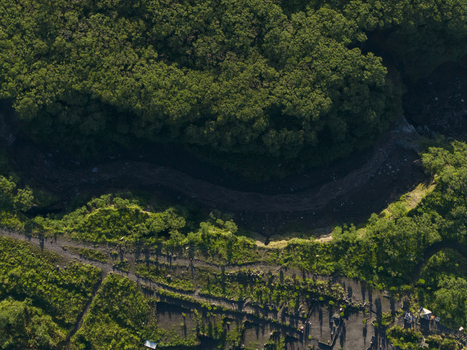 Aerial view of the Bunker Kaliadem Merapi area featuring a lush green forest canopy and dark volcanic riverbed in Kecamatan Pakem Daerah Istimewa Yogya Indonesia. Aerial view of the Bunker Kaliadem Merapi area featuring a lush green forest canopy and dark volcanic riverbed in Kecamatan Pakem Daerah Istimewa Yogya Indonesia.