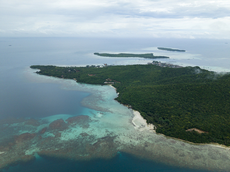 Aerial view of the vibrant turquoise waters meeting the lush green island creating a stunning contrast of colors Karimunjawa Central Java Indonesia.