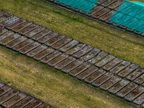 Aerial view of rows of rectangular concrete cultivation beds on a grassy field with green mesh covers in Vilnius County Lithuania. Aerial view of rows of rectangular concrete cultivation beds on a grassy field with green mesh covers in Vilnius County Lithuania.