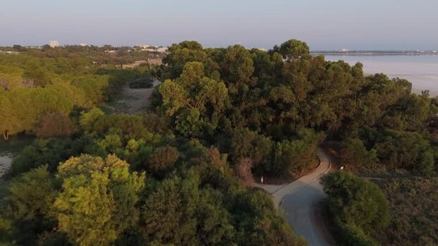 Aerial view of Larnaca Salt Lake and surrounding park Cyprus.