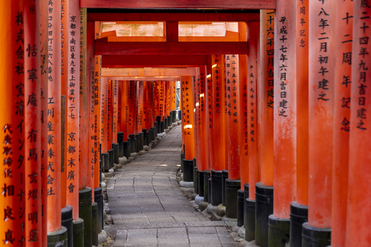 View of vibrant orange Senbon Torii gates with black bases and Japanese calligraphy along a stone path at the Fushimi Inari taisha shrine in Kyoto Kyoto Japan.