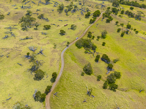 Aerial view of a white vehicle driving on a winding dirt road through the rolling green hills and scattered trees on the slopes of Mauna Kea Hawaii County Hawaii United States. Aerial view of a white vehicle driving on a winding dirt road through the rolling green hills and scattered trees on the slopes of Mauna Kea Hawaii County Hawaii United States.