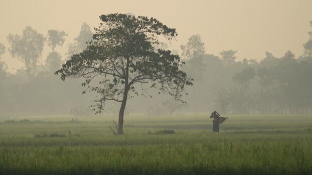 View of a woman walking in a misty field in Bogura Bangladesh.
