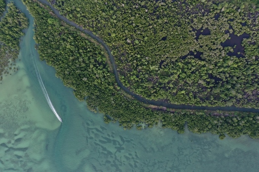Aerial view of a small boat leaving a wake through the shallow turquoise waters alongside a dense mangrove forest in Maginti South East Sulawesi Indonesia. Aerial view of a small boat leaving a wake through the shallow turquoise waters alongside a dense mangrove forest in Maginti South East Sulawesi Indonesia.