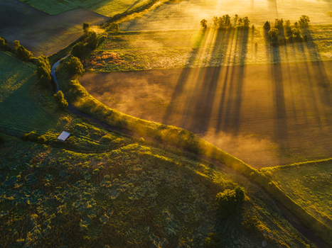 Aerial view of golden sunrise casting long shadows over agricultural fields and a winding stream in the rural landscape of Hallesaker Halland County Sweden. Aerial view of golden sunrise casting long shadows over agricultural fields and a winding stream in the rural landscape of Hallesaker Halland County Sweden.