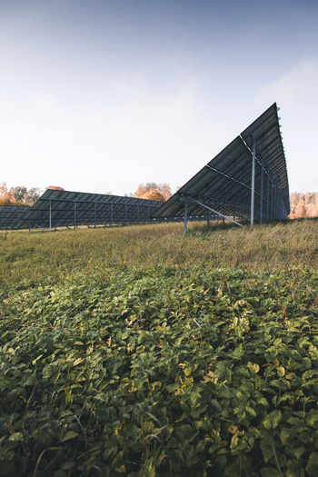View of solar panels installed in a grassy field with autumn foliage in the background in Otepaa Valga County Estonia. View of solar panels installed in a grassy field with autumn foliage in the background in Otepaa Valga County Estonia.