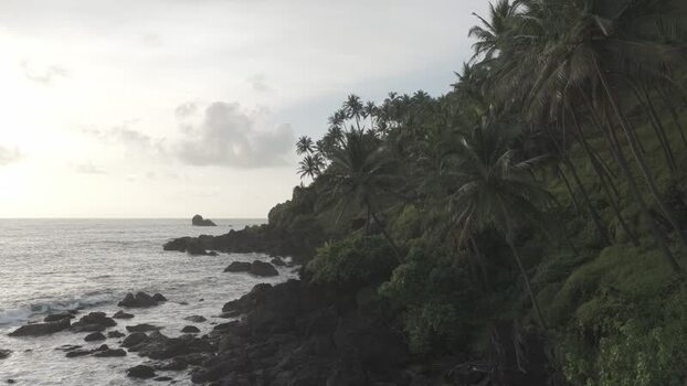 Aerial view of Cabo de Rama Beach and rocky coastline India.