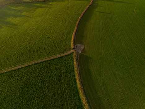 Aerial view of green agricultural fields divided by a hedgerow with a small dirt path and a vehicle parked at the junction in Looe Cornwall United Kingdom. Aerial view of green agricultural fields divided by a hedgerow with a small dirt path and a vehicle parked at the junction in Looe Cornwall United Kingdom.