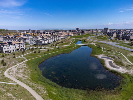 Aerial view of a tranquil pond reflecting the clear sky framed by lush greenery and modern architecture creating a serene yet structured landscape Almere Flevoland Netherlands.