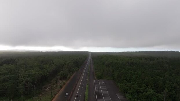 Aerial view of a road through the forest in Mauritius.