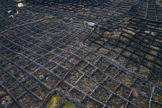 Aerial view of traditional stone walled vineyards known as curraletas built from volcanic rock Biscoitos Azores Portugal. Aerial view of traditional stone walled vineyards known as curraletas built from volcanic rock Biscoitos Azores Portugal.