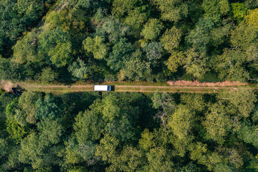 Aerial view of a white vehicle driving along a narrow dirt road through a dense green forest in Panchagarh Rangpur Division Bangladesh. Aerial view of a white vehicle driving along a narrow dirt road through a dense green forest in Panchagarh Rangpur Division Bangladesh.